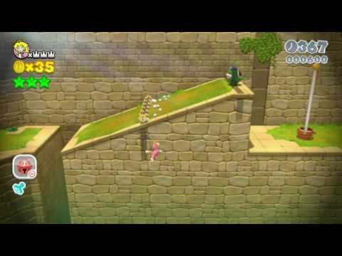 Super Mario 3D World 4-5 Speedrun - Time: 35