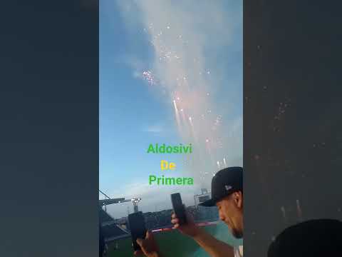 "somos de primera aguante aldosivi ternero sos del federal" Barra: La Pesada del Puerto &bull; Club: Aldosivi