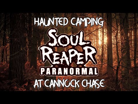 Camping Inside The Haunted Cannock Chase Forest