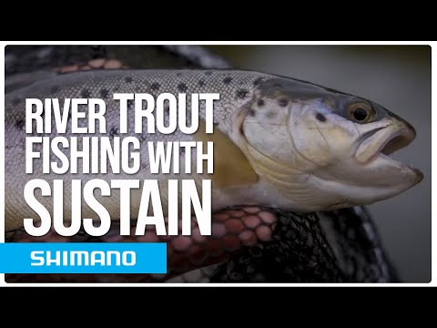 Mulineta Shimano Sustain 2500 FJ