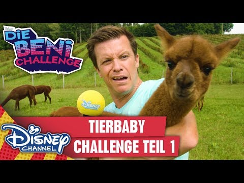 Die Tierbaby-Challenge, Teil 1 | Die Beni Challenge