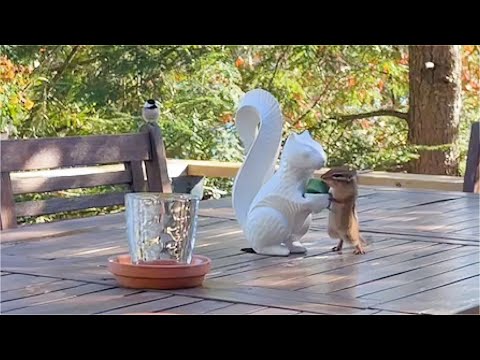 이거 찾으러 온 거야?