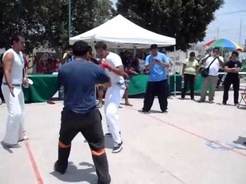 COMBATES QUERETARO 1