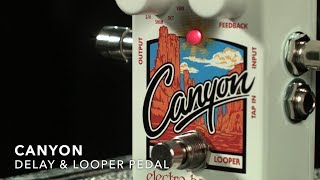 Video thumbnail for Electro Harmonix Canyon Delay & Looper Pedal | Gear4music demo by Gear4music Guitars