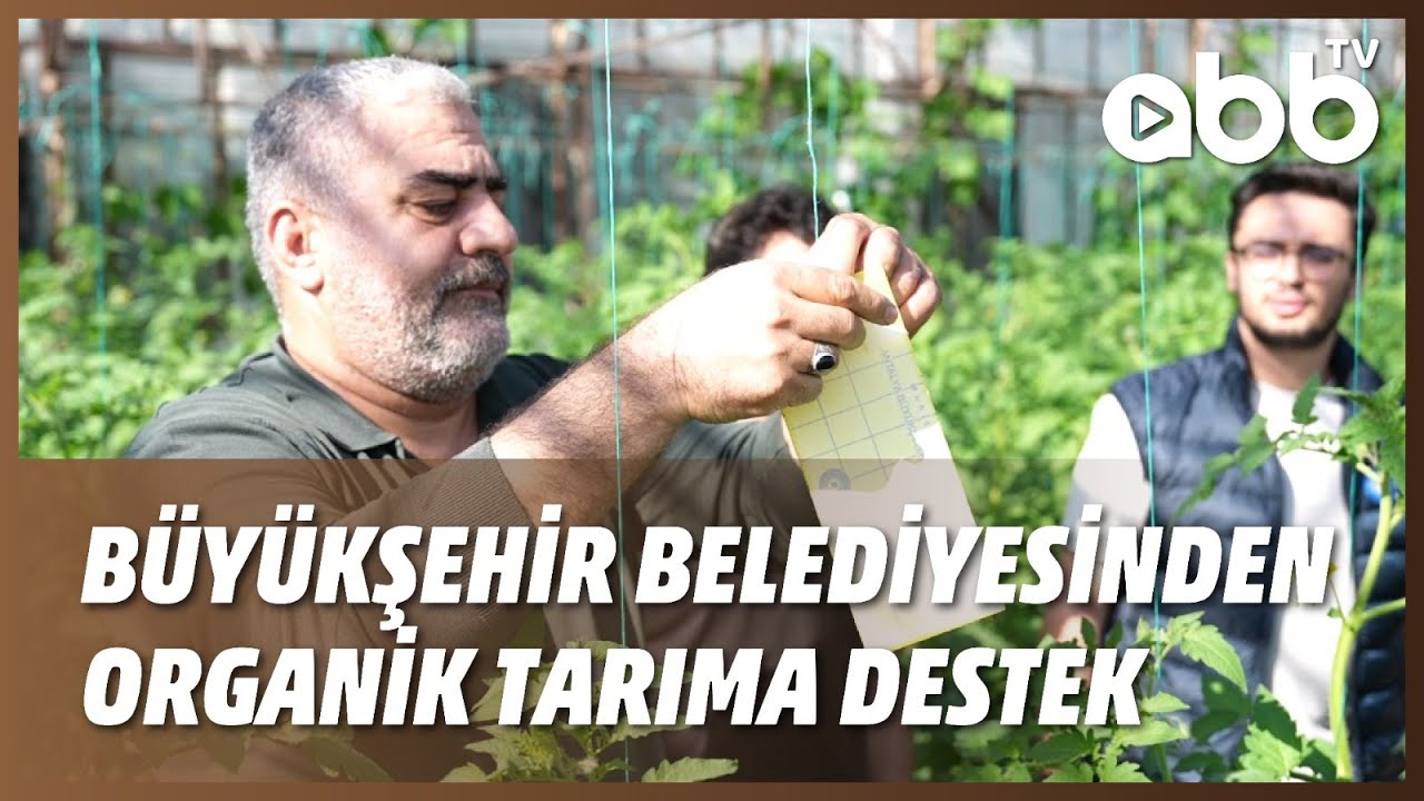 BÜYÜKŞEHİR BELEDİYESİNDEN ORGANİK TARIMA DESTEK