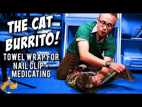 The Cat Burrito: Ninja Towel Wrap to Restrain Your Difficult Cat - Cat Health Vet Advice