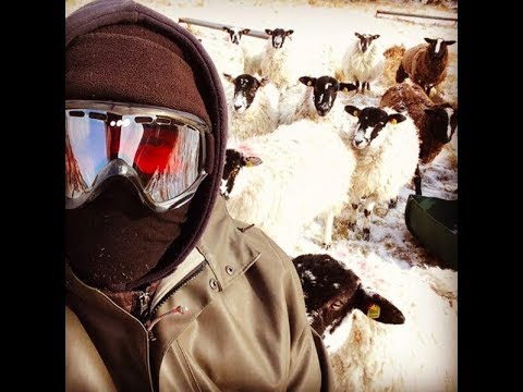 ACD vlog003: cold weather and hot compost!