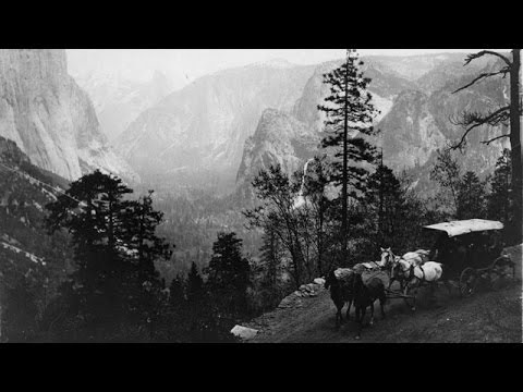 KQED NEWSROOM: Net Neutrality, Yosemite at 150, Redwood Burl Poaching | June 27, 2014