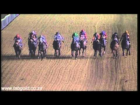 20160408 Greyville Race 6 won by SHREYA'S STAR