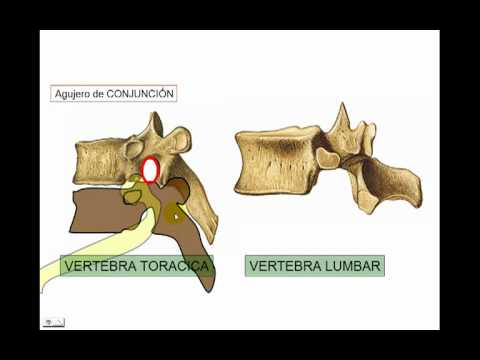 Ginocchio artroscopia Simferopol 37 settimane di gravidanza, il mal di schiena