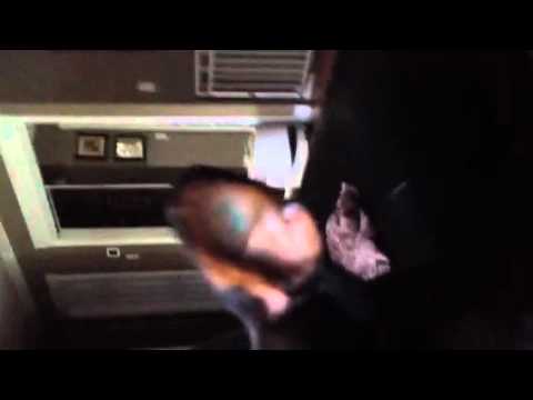 Aunty Wendy / Nephew Dogs