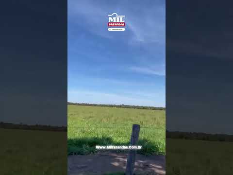 Fazenda à venda em São Miguel do Araguaia – Goiás. 983 Hectares #fazendaavenda #agro
