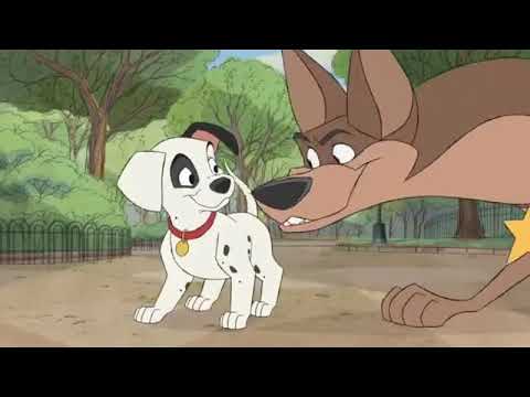 Between The Dalmatians Shooting Wild Animals Part 2