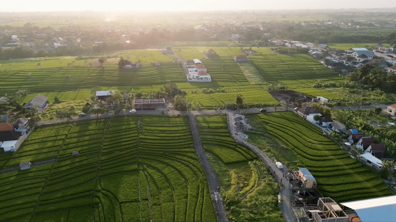 Experience the bird's eye vistas of Canggu Rice Paddies.