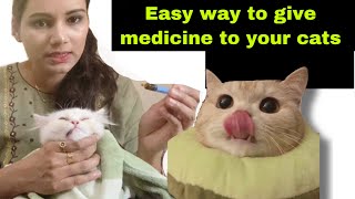 How to give medicine to your cats |easy way to give medicine to cats |grooming |spa | cats nd kitten