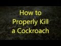 How To Kill A Cockroach