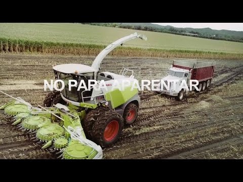 CLAAS JAGUAR 900. 2017 / es
