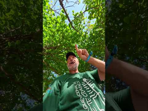 BAHIA PLAZA HOTEL - CAMAÇARI - BAHIA