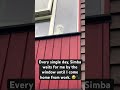 My Dog Waits For Me Every Day 🥹 Shorts Shortvideo Love Doglove Doglife Cute