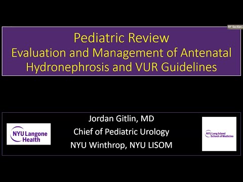 Antenatal Hydronephrosis, VUR - EMPIRE Urology In Service Review