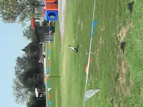 Silly Duck at the Tennessee Safari Park