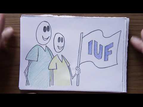 PORTFÓLIO de Renato Lepsch - Imposto Único Federal - Índigo Instituto e PSL