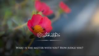 Download lagu Surah Al Qalam | Syekh Fahad Aziz Niazi mp3