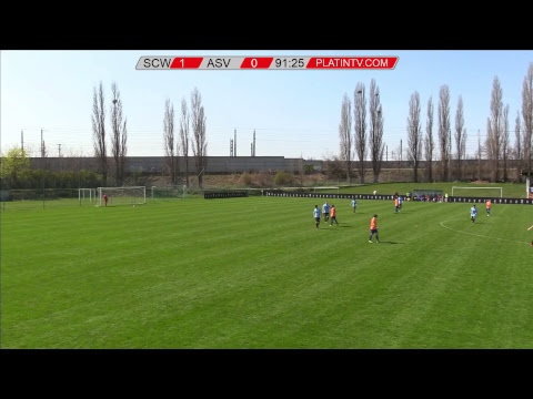 31.03.2019 | 11 11 | WIENER LIGA | #21 | WIENERBERG - ASV 13