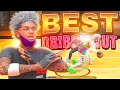 THE ULTIMATE DRIBBLE TUT IN NBA 2K25 LEARN THE BEST MOVES IN THE GAME TO GET OPEN