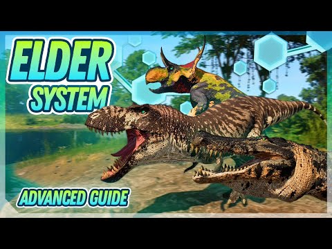 ALL PRIME ELDERS + How to get them - Elder System Guide