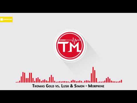 Thomas Gold vs  Lush & Simon   Morphine