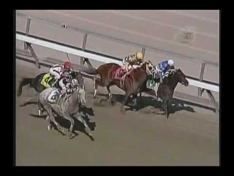 2004 Wood Memorial Stakes - Tapit