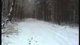 preview picture of video 'Der Schüttensteiner Wald im Winter'