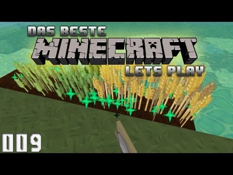 DBMLPWEÜIGDG #009 - Von Samen und Huren (Feldarbeit) | Let's Play Minecraft
