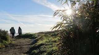 RVing New Zealand | Hokitika to Christchurch - YouTube