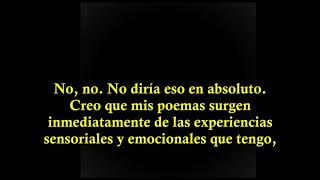 Lana del rey - entrevista Sylvia Plath