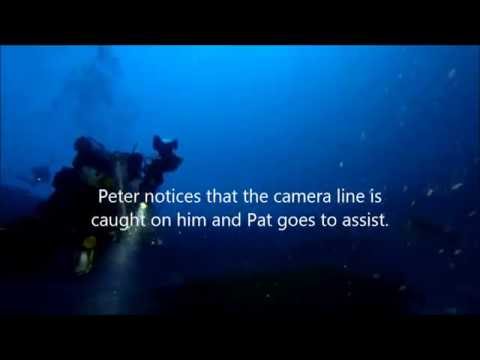 Searching for Dinosaurs