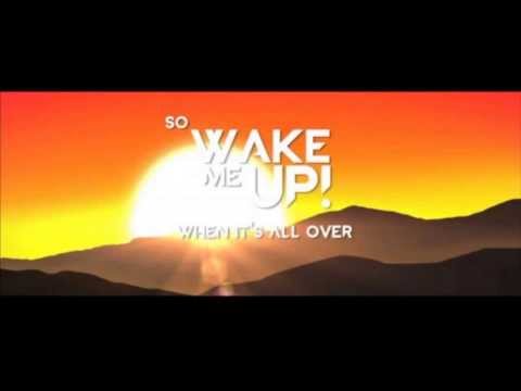 Avicii Ft Aloe Blacc   Wake Me Up Stu Infinity VIP Mix)