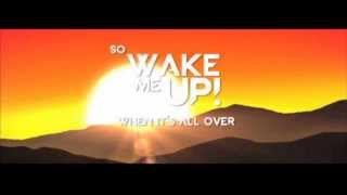 Avicii Ft Aloe Blacc   Wake Me Up Stu Infinity VIP Mix)