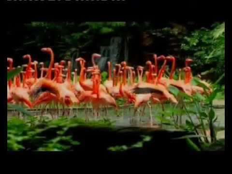 Café del Mar Singapur  Empuriabrava by Alessandro Boschi