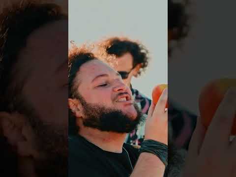 Jack Black Peaches AMH Band Cover!