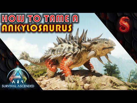 ARK SURVIVAL ASCENDED HOW TO TAME A ANKYLOSAURUS