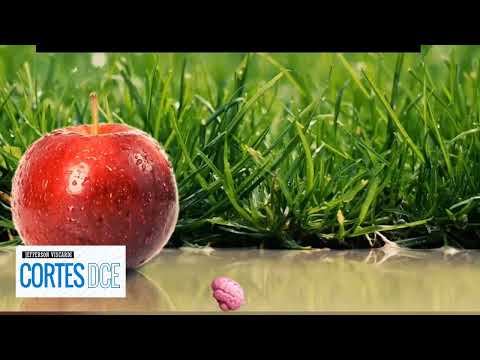 Cortes DcE #547 Lei da Influência dos Espíritos Desencarnados