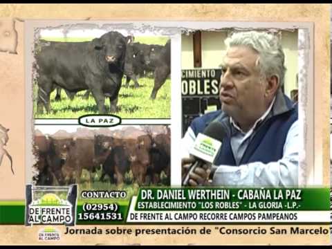 DE FRENTE AL CAMPO entrevistó a DANIEL WERTHEIN