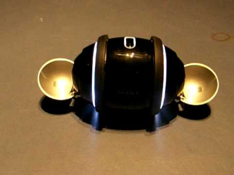 Sony Rolly: Livin' la Vida Loca