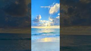 Download lagu Gemuruh||wings #shortvideo #shorts #music mp3