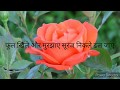 फूल खिले और मुरझाए सूरज निकले ढल जाए Best 