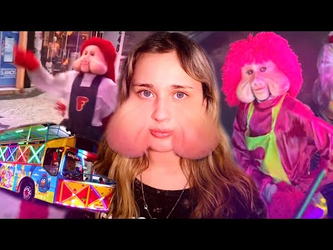 THE LITTLE TRAIN OF JOY