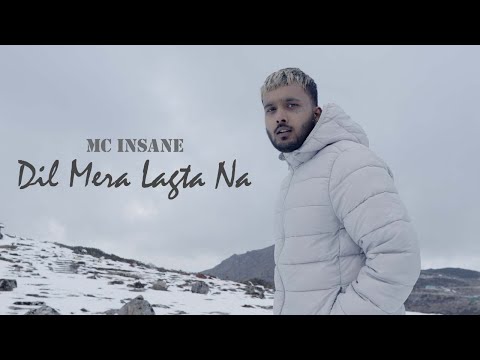 MC Insane - Dil mera lagta na ( Official Music Video ) | The Heal Album