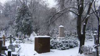 Celestial Season - Will you wait for the Sun?